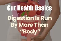 Gut Health Basics: How the Digestive System Powers Your Body