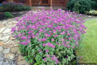 Table Talk: Where Has Spring Gone?