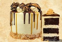 Samoa Cookie Cake Recipe Inspired by Girl Scout Cookies