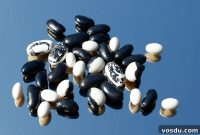 Mediterranean White Bean Salad with Lemon Herb Dressing