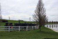 Inside an Amish Church: What Services and Traditions Look Like