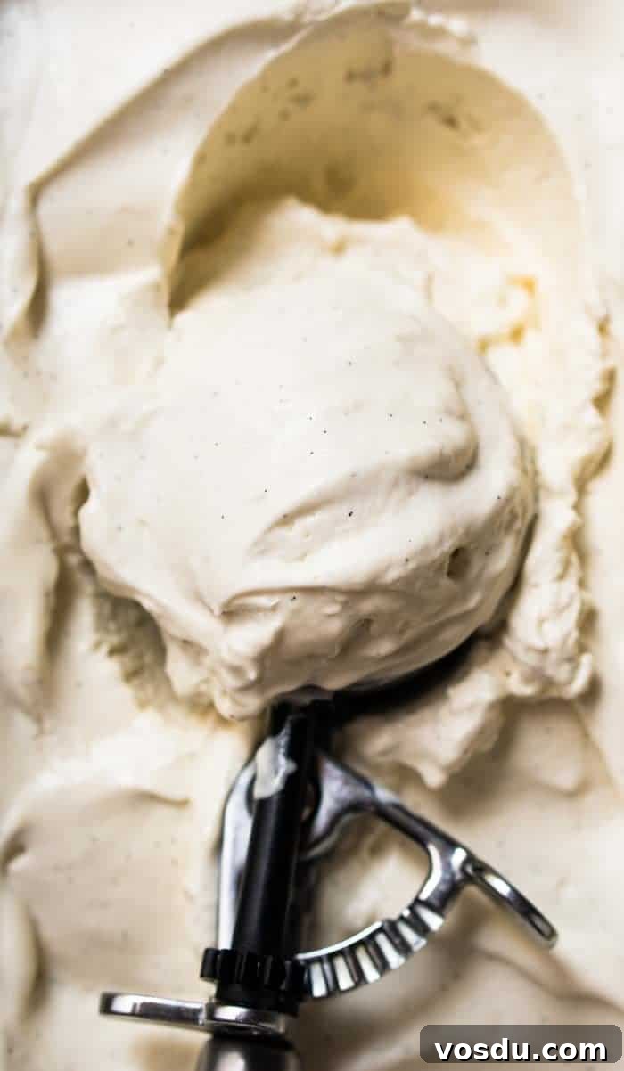 15-Minute Cookies ’N Cream Milkshake — Gluten-Free, Dairy-Free, Keto 4 A Scoop Of Keto Vanilla Ice Cream