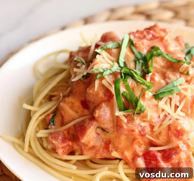 Spaghetti With Cheesy Tomato Cream Sauce