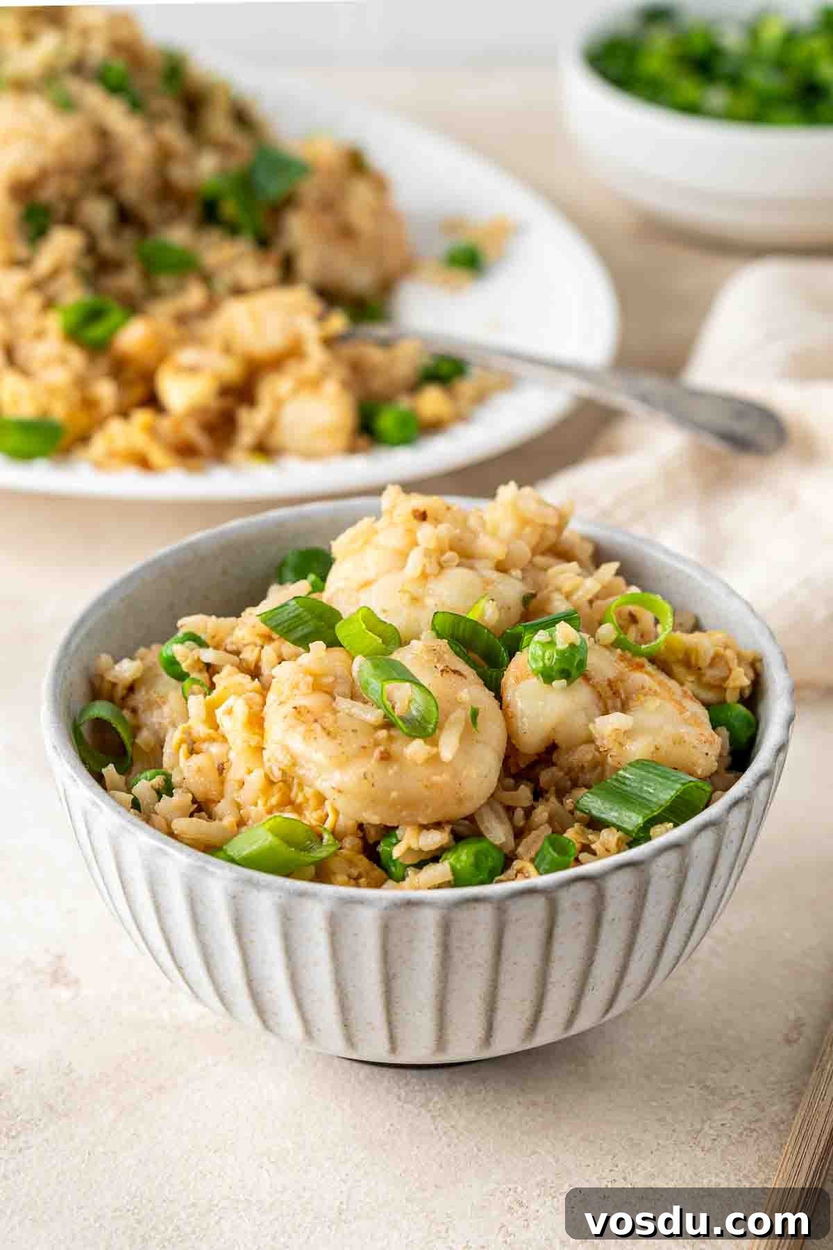 Prawn and Egg Fried Rice Recipe — Quick Weeknight Meal 11 A bowl of egg fried rice with prawns.