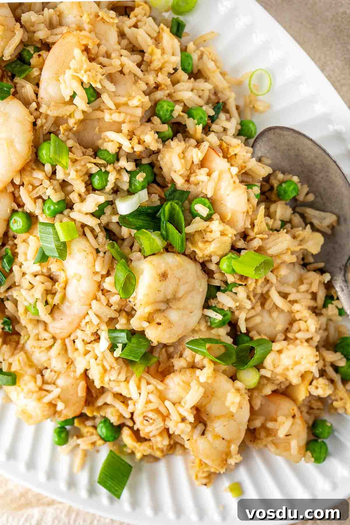 Prawn and Egg Fried Rice Recipe — Quick Weeknight Meal 5 Close up of egg fried rice with prawns on a plate.