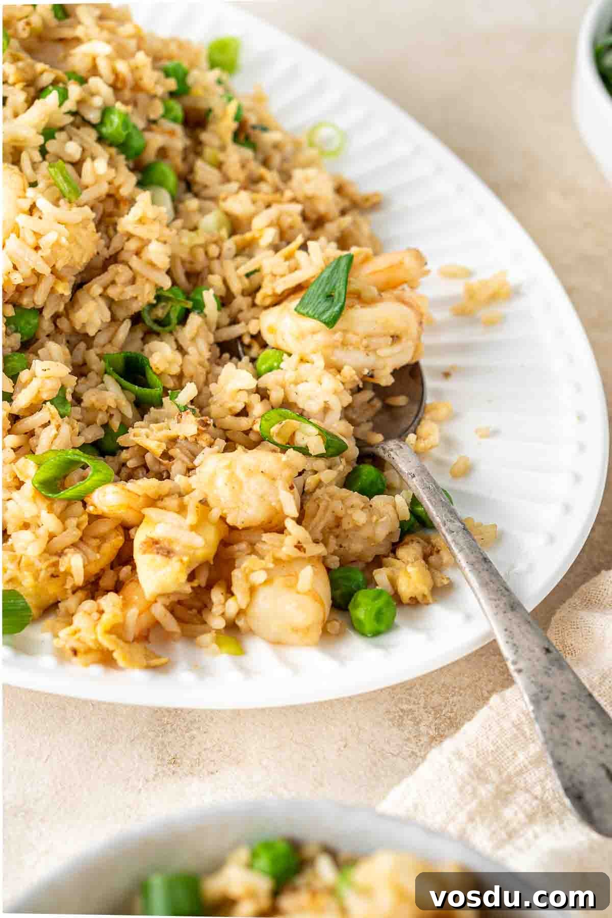 Prawn and Egg Fried Rice Recipe — Quick Weeknight Meal 10 Close up of a spoon serving prawn fried rice.