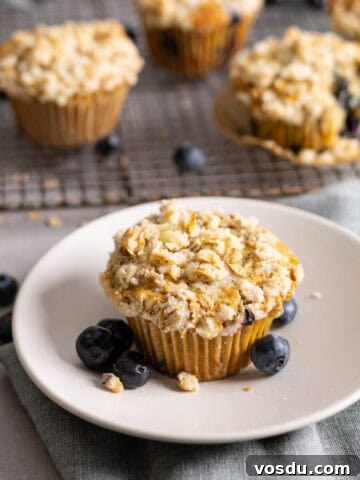 Blueberry banana oat muffins on a wire rack with a single serving on a plate.