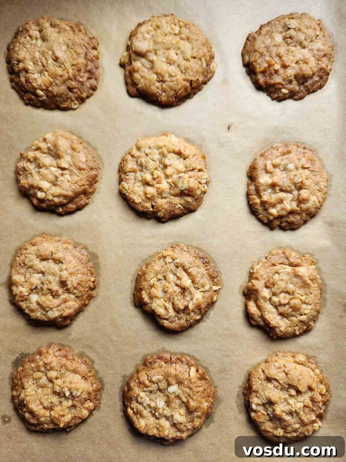 Chewy Coconut Oatmeal Cookies with Toasted Coconut 7 Overhead of cooked coconut oatmeal cookies on a baking sheet.