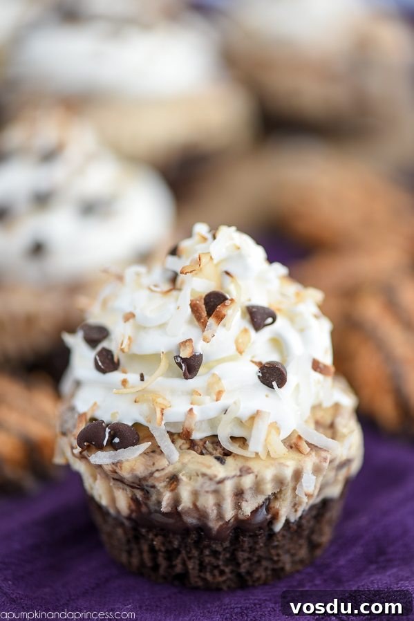 Thin Mint Freakshake Recipe: Mint Chocolate Cookie Milkshake Treat 6 img 11332 6