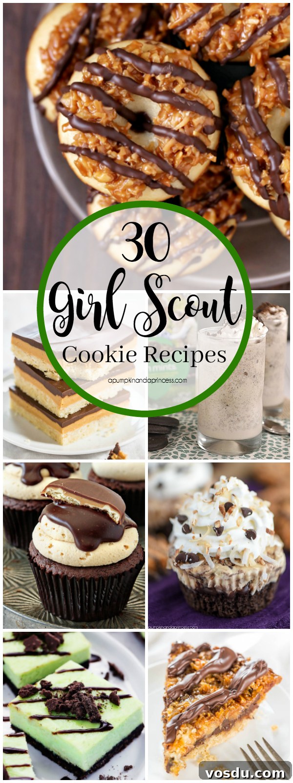 Thin Mint Freakshake Recipe: Mint Chocolate Cookie Milkshake Treat 7 30 Girl Scout Cookie Recipes