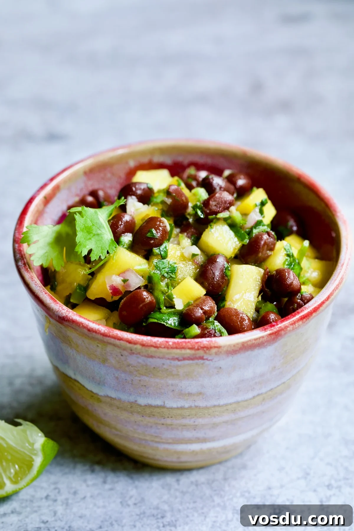 Caribbean Chicken with Black Bean and Mango Salsa Recipe 9 Bowl of Mango Black Bean Salsa garnished with cilantro sprig.