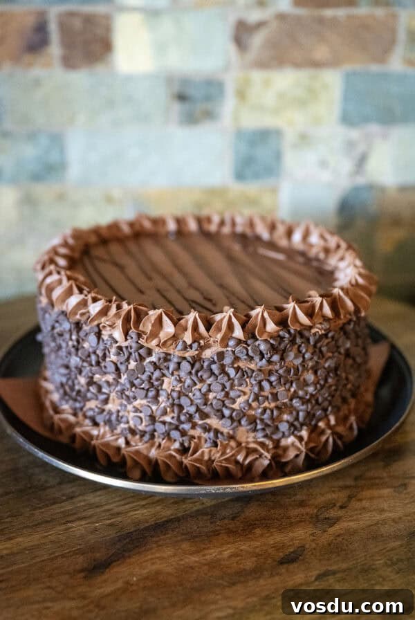 Chocolate Ganache Cake