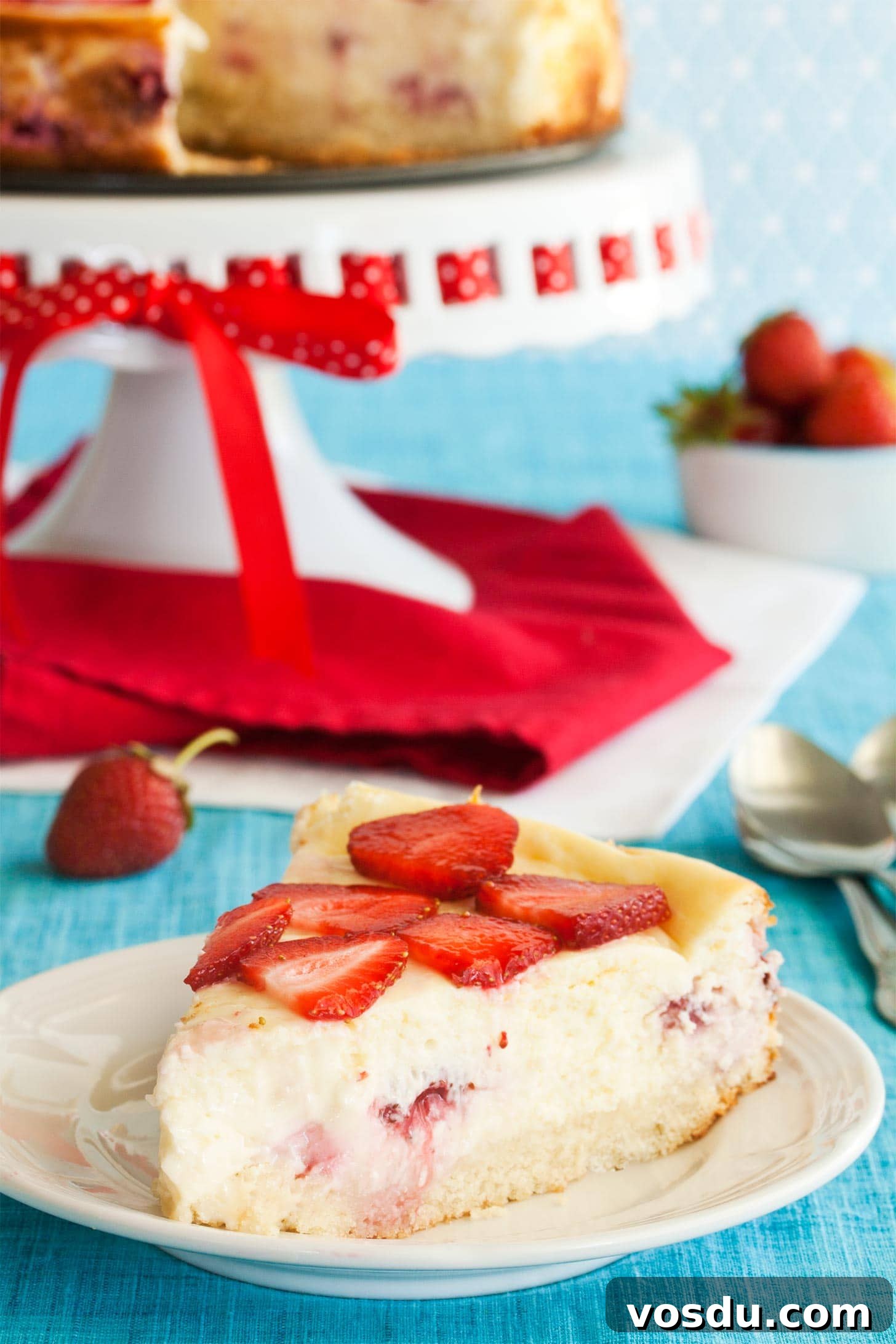 Slice of strawberry shortcake cheesecake with sponge cake crust