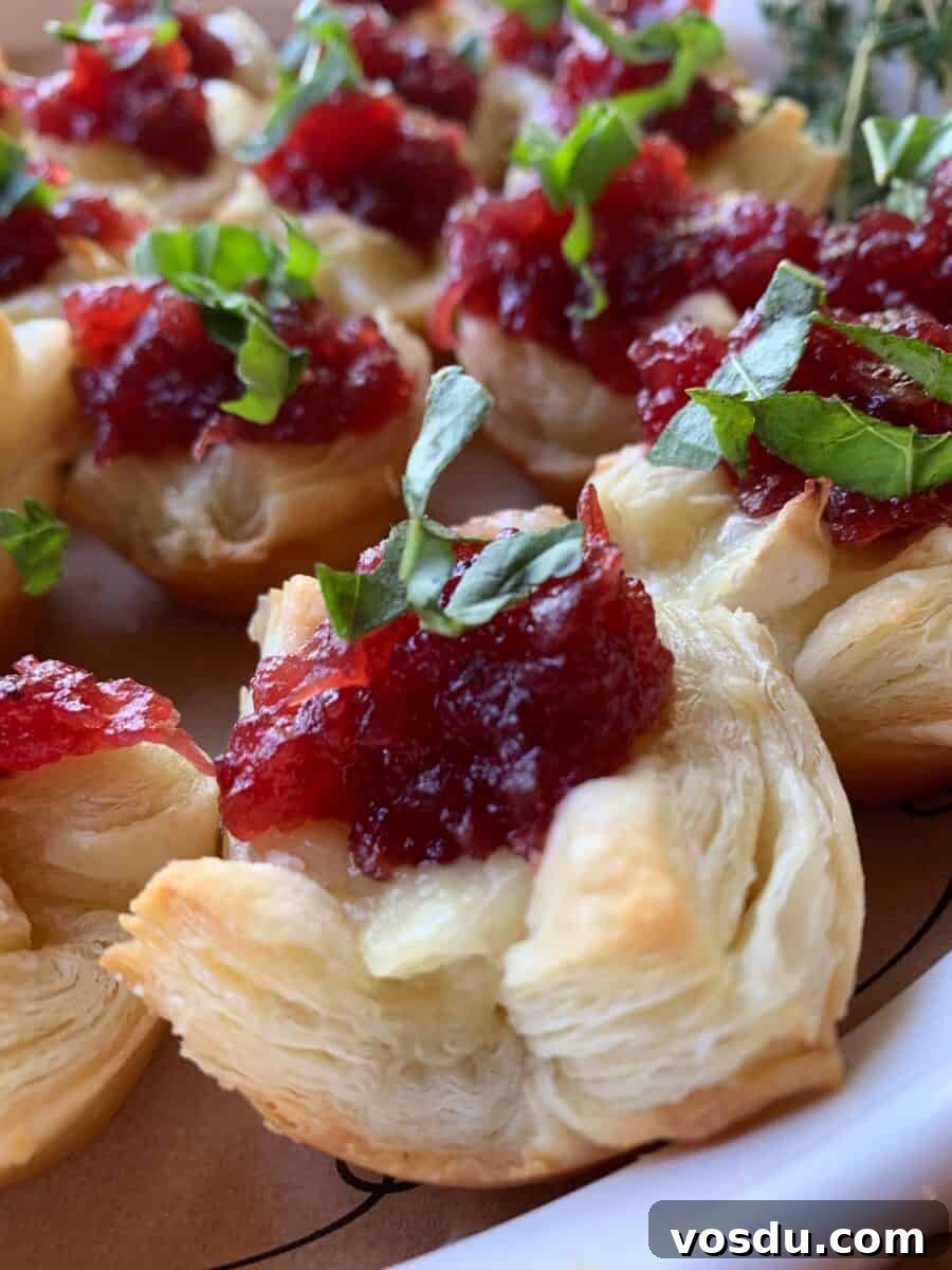 Cranberry Brie Bites: Festive Appetizer with Puff Pastry 2 Close up shot of a cranberry brie appetizer