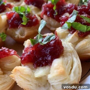 Cranberry Brie Bites: Festive Appetizer with Puff Pastry 6 Close up shot of a cranberry brie appetizer