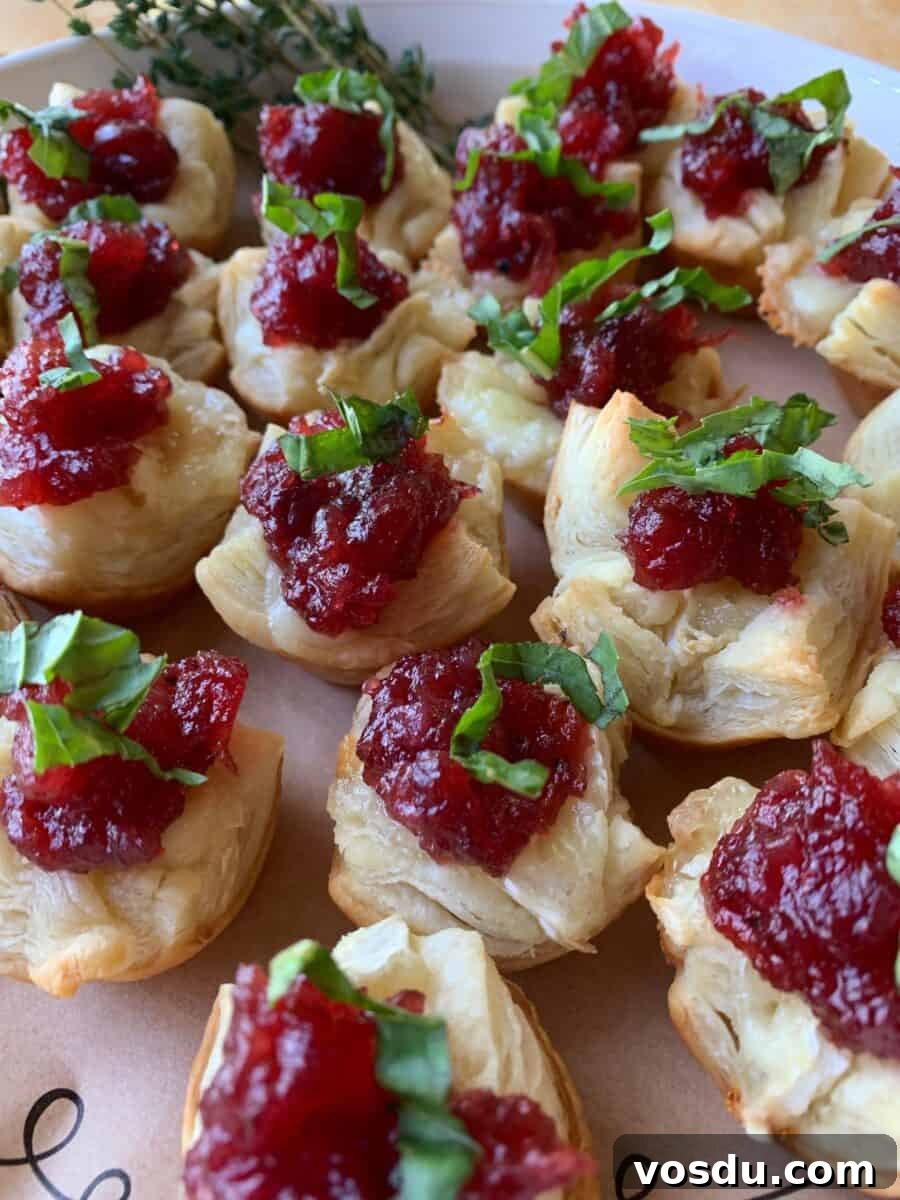 Cranberry Brie Bites: Festive Appetizer with Puff Pastry 3 Cranberry brie bites with basil on top, spread out on a dish