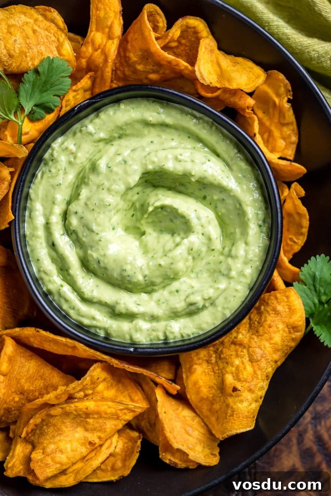 Creamy Avocado Cilantro Sauce Recipe for Tacos & Bowls 7 Dreamy, Creamy Avocado Cilantro Sauce