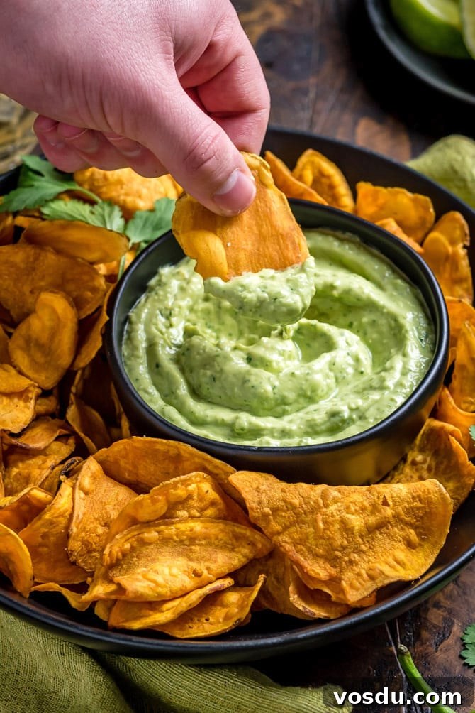 Creamy Avocado Cilantro Sauce Recipe for Tacos & Bowls 9 Dreamy, Creamy Avocado Cilantro Sauce