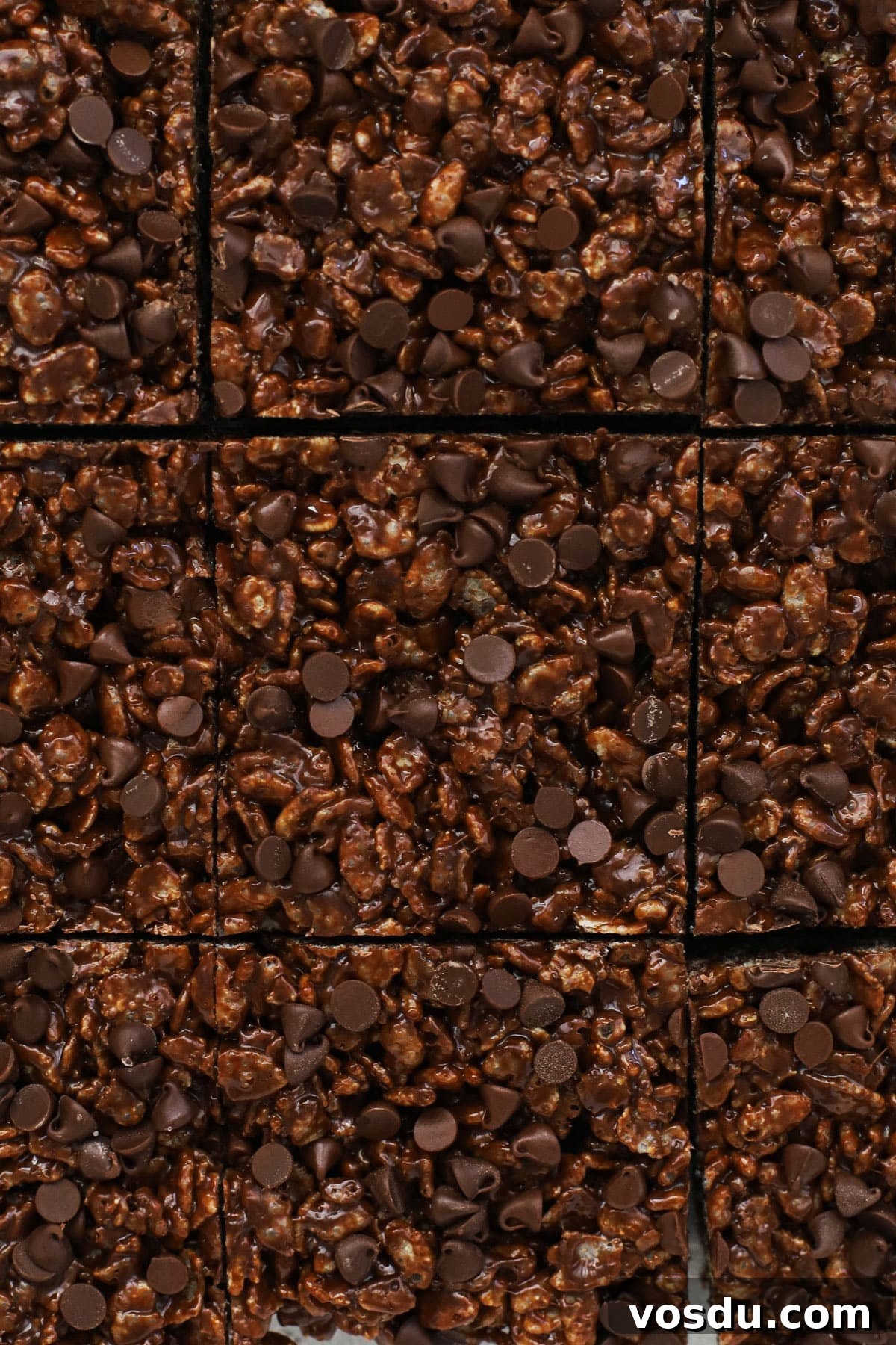 Chocolate Rice Krispie Treats Recipe for Crispy, Chocolatey Squares 6 gluten-free chocolate rice krispie treats cut into squares