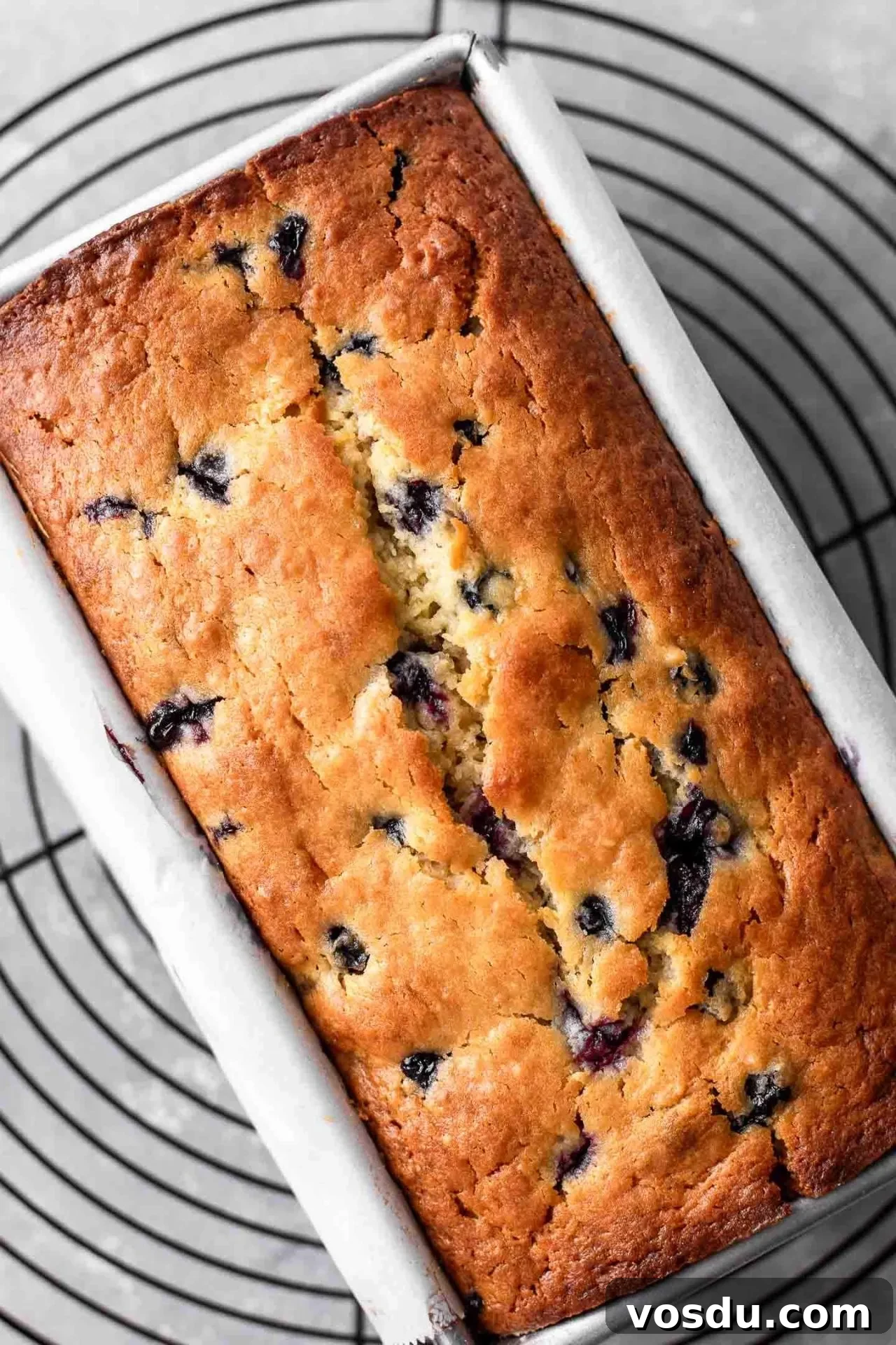 Lemon Blueberry Loaf Cake Recipe for Moist, Zesty Slices 9 baked lemon blueberry quick bread in pan