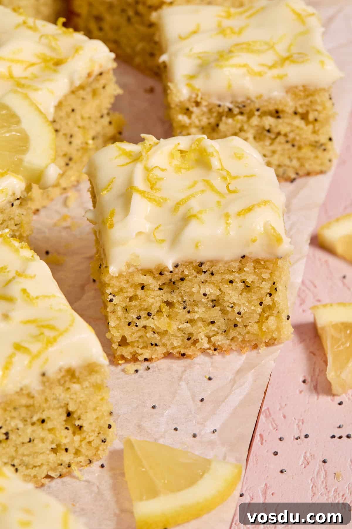 Almond Flour Lemon Poppy Seed Cake Recipe for Moist, Zesty Loaf 2 Pieces of cake on parchment paper with poppy seeds and lemon slices around it.