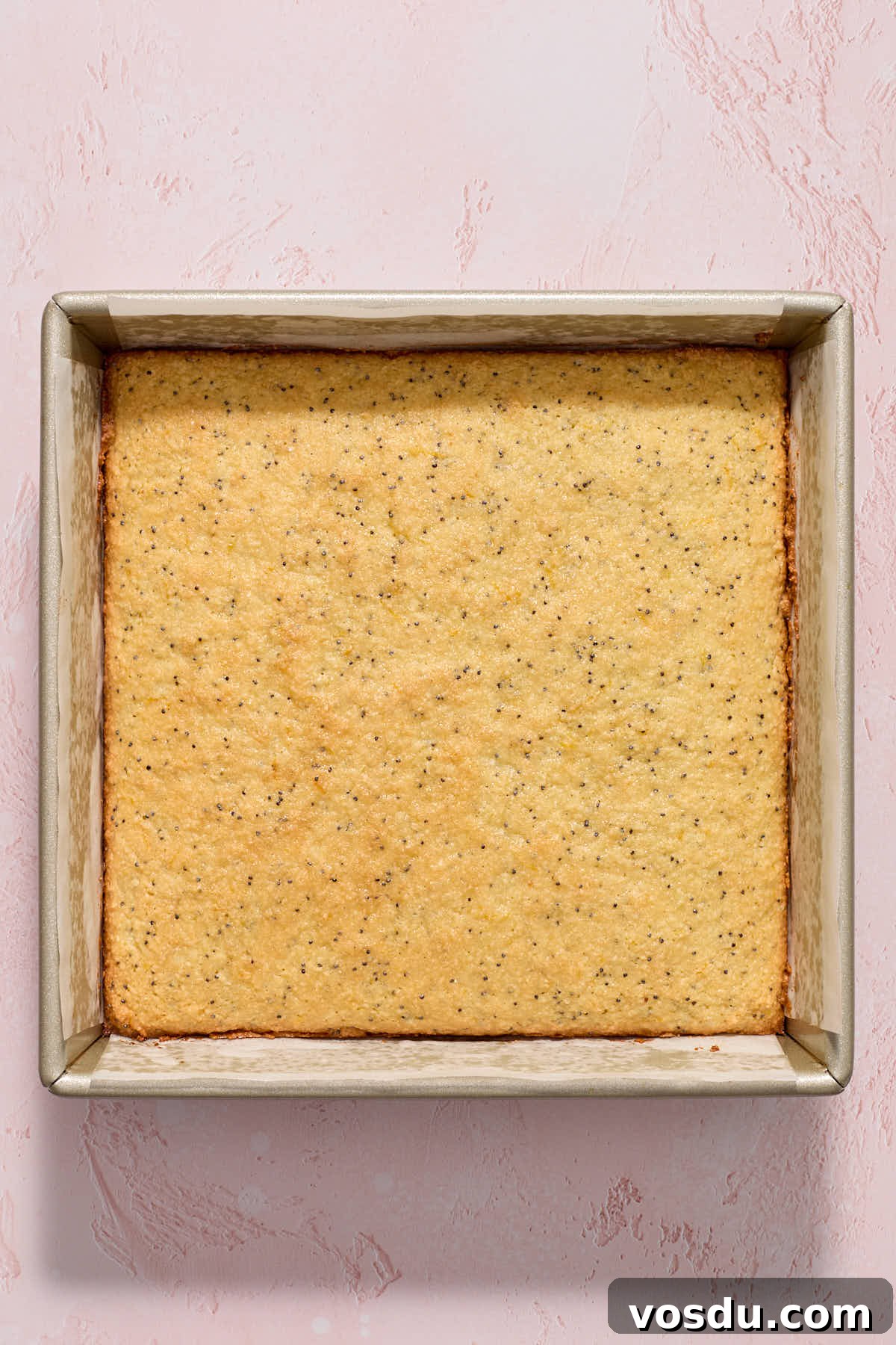 Almond Flour Lemon Poppy Seed Cake Recipe for Moist, Zesty Loaf 10 Baked cake cooling in pan.