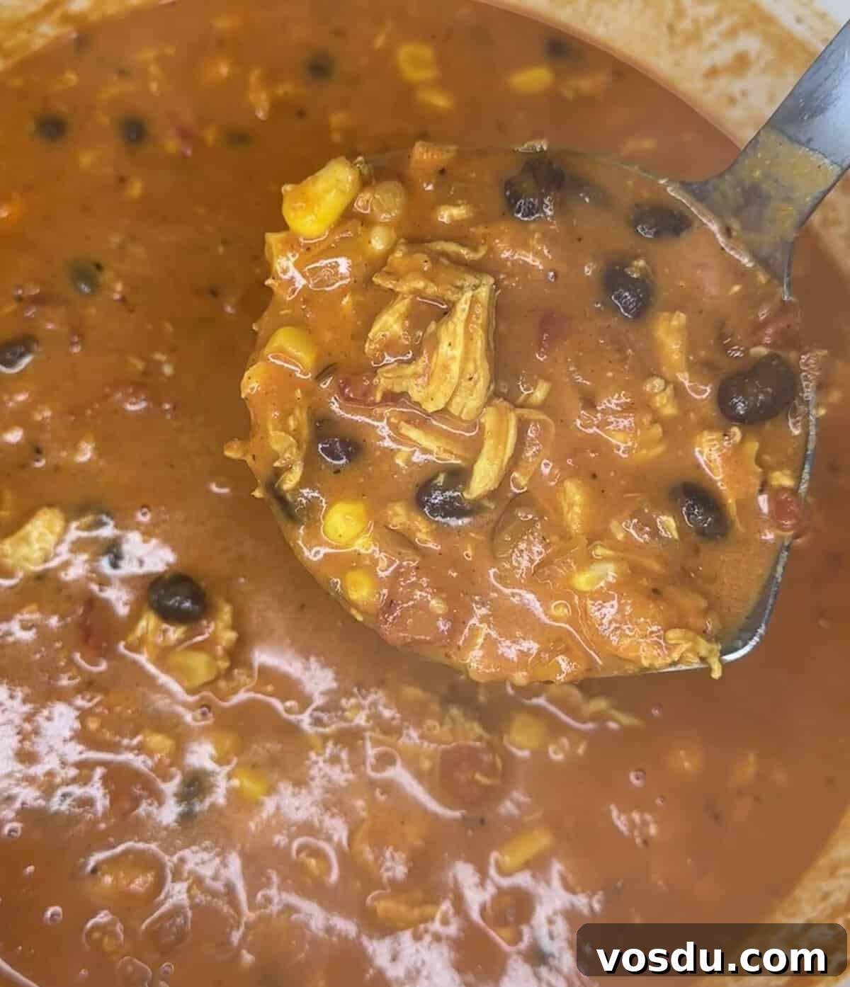 Creamy Chicken Tortilla Soup Recipe with Crispy Tortilla Strips 14 img 14812 13