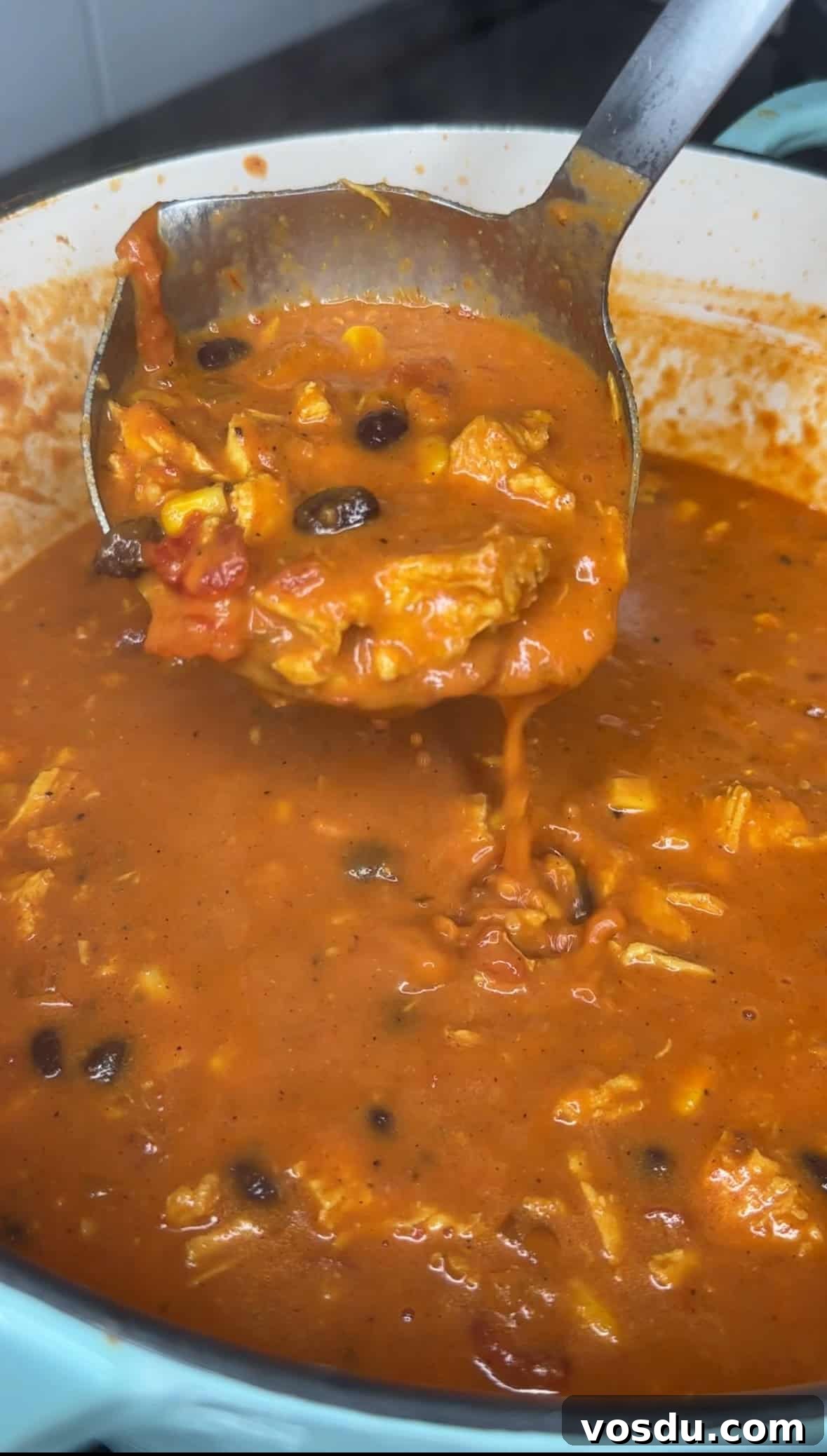 Creamy Chicken Tortilla Soup Recipe with Crispy Tortilla Strips 15 img 14812 14