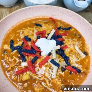 Creamy Chicken Tortilla Soup Recipe with Crispy Tortilla Strips 19 img 14812 18