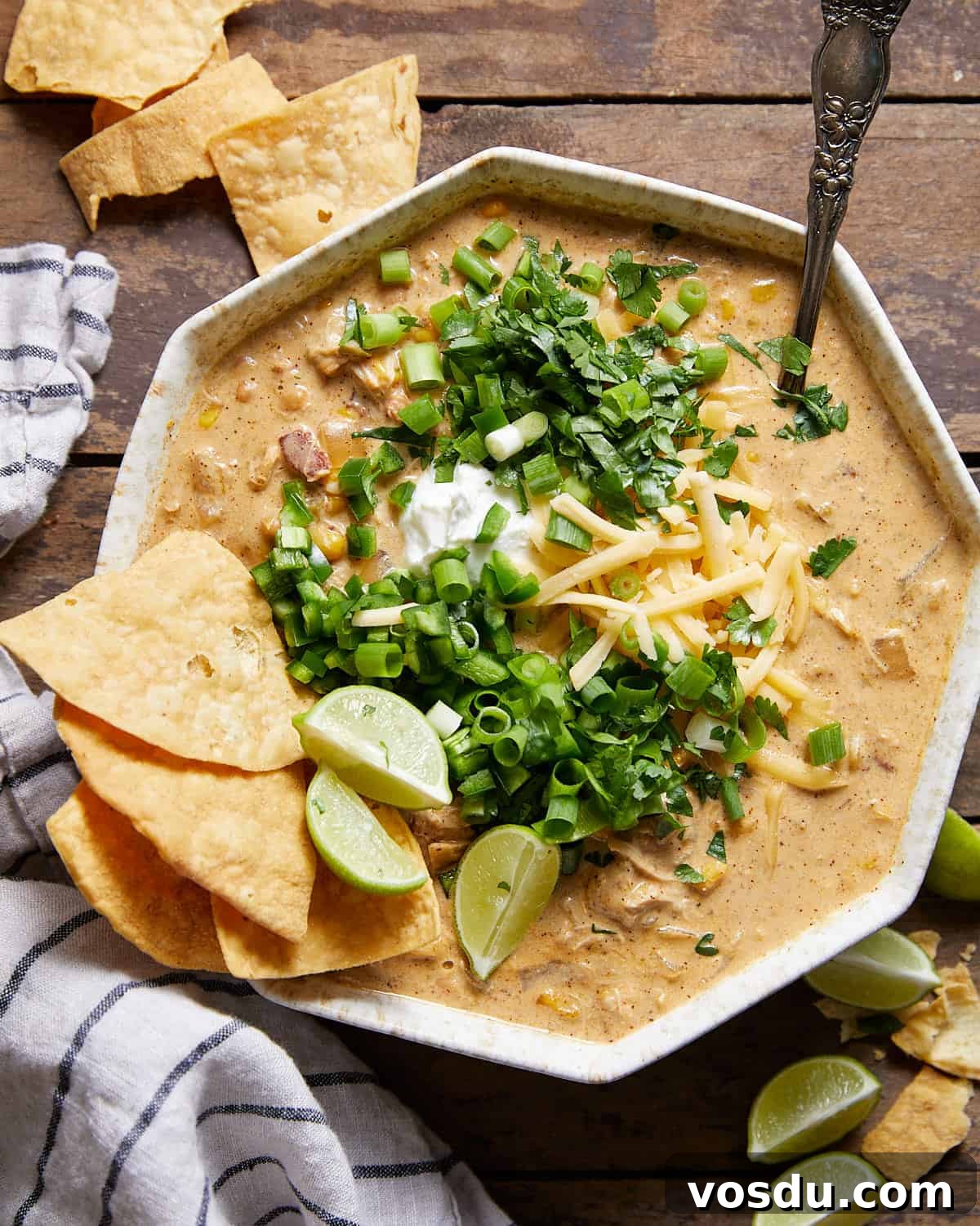 Overhead image of cream cheese chicken chili with garnish.