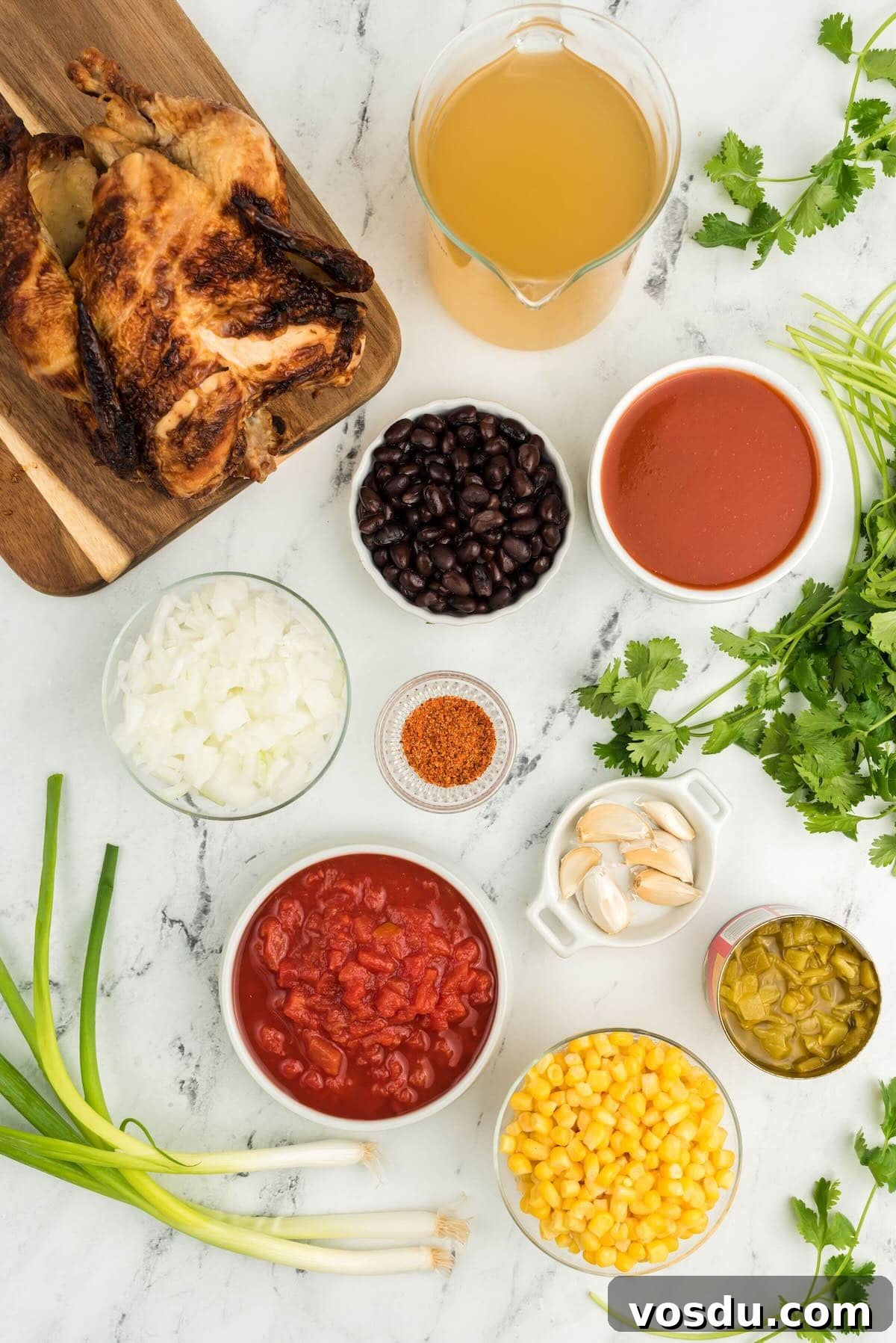 Slow Cooker Chicken Tortilla Soup Recipe — Comforting Weeknight Meal 3 Overhead shot of ingredients for chicken tortilla soup including chicken, beans, corn, and enchilada sauce.