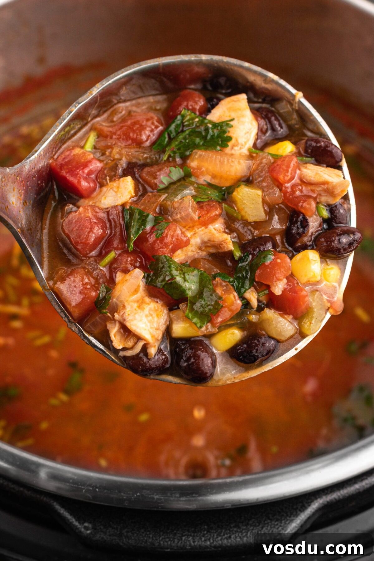 Slow Cooker Chicken Tortilla Soup Recipe — Comforting Weeknight Meal 5 Close-up of hearty crockpot chicken tortilla soup with beans, corn, and shredded chicken.