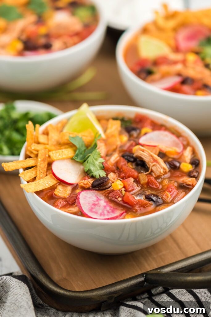 Slow Cooker Chicken Tortilla Soup Recipe — Comforting Weeknight Meal 6 Healthy Chicken Tortilla Soup