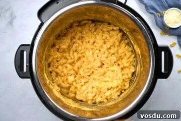 Creamy Instant Pot Macaroni and Cheese Recipe 5 Instant Pot filled with cooked elbow noodles after adding cheese and sour cream to make mac and cheese.
