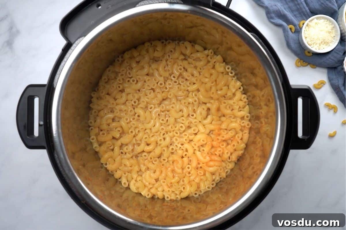 IP Mac and Cheese Recipe Instant Pot showing perfectly cooked elbow noodles.