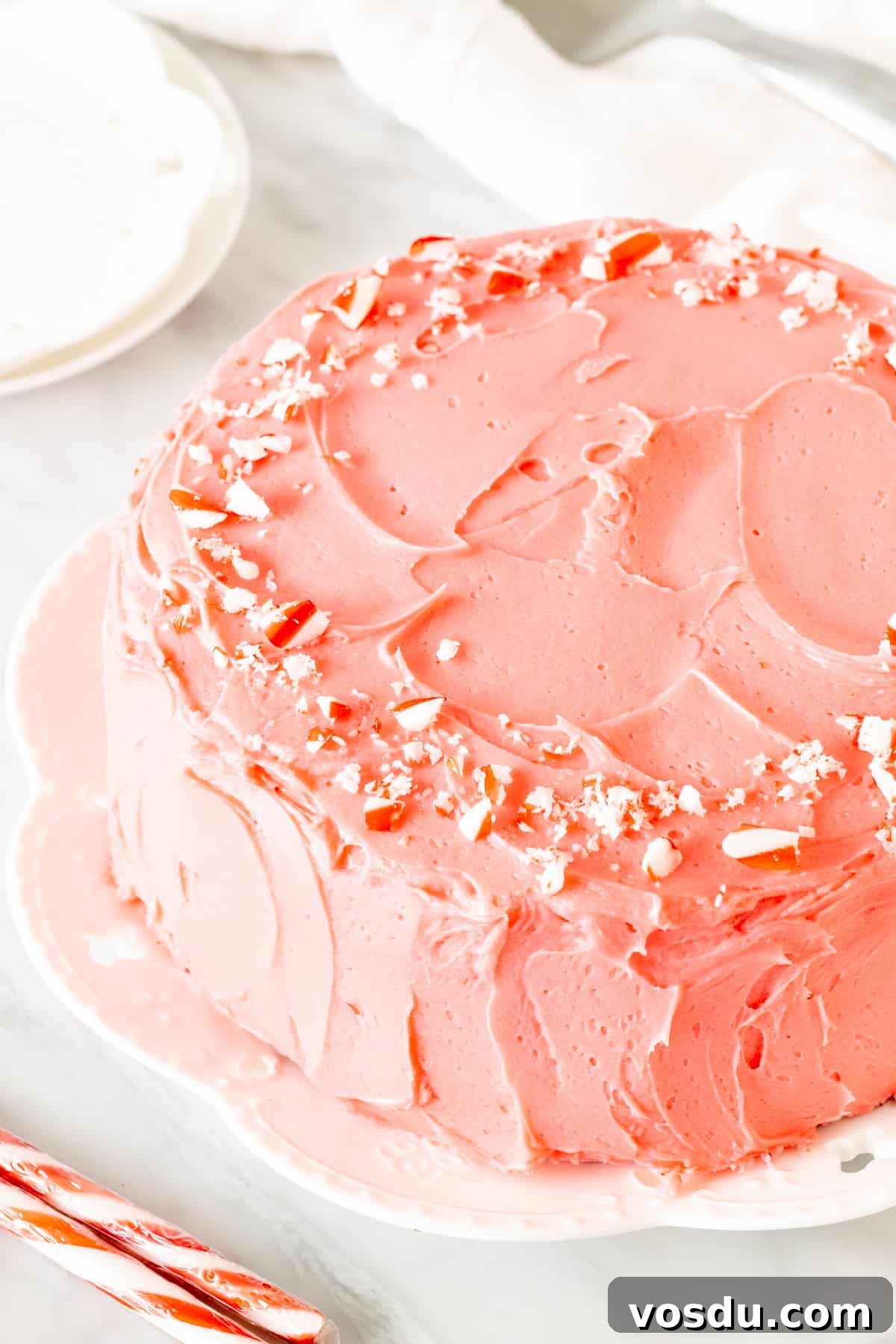 Chocolate Candy Cane Layer Cake with Peppermint Frosting 3 *-inch round cake with pink peppermint frosting and crushed candy canes on top
