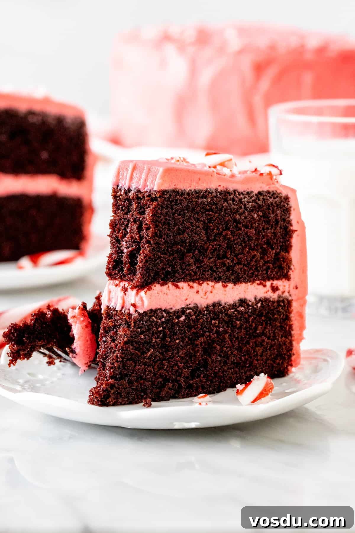 Chocolate Candy Cane Layer Cake with Peppermint Frosting 5 Slice of chocolate peppermint cake with a bite taken out of it.