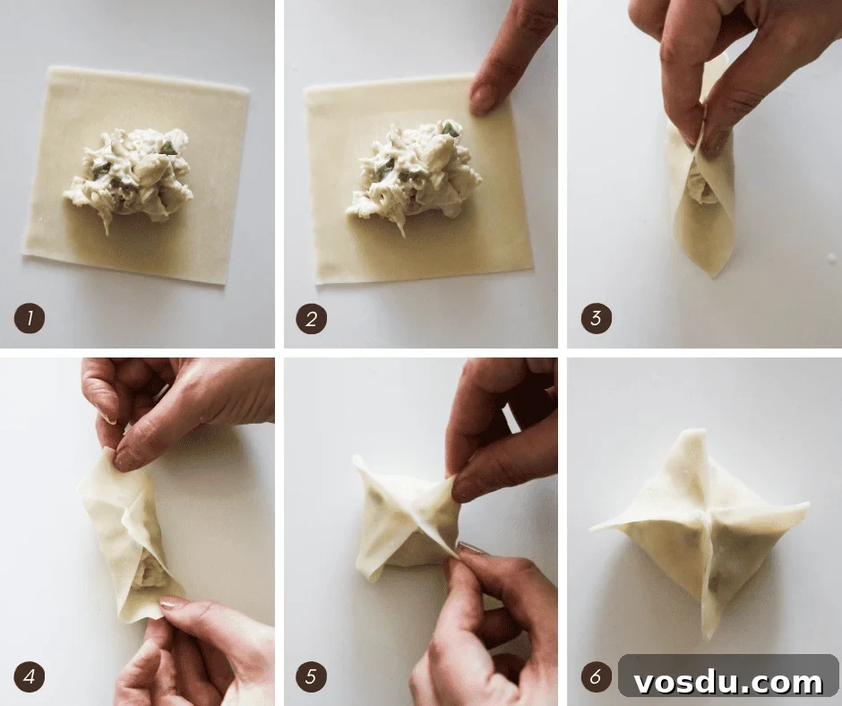 Dairy-Free Crab Rangoons