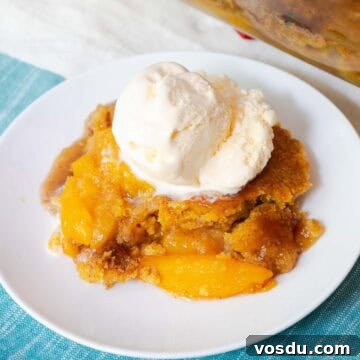 Quick Peach Cobbler Made with Cake Mix and Canned Peaches 12 A plate of peach cobbler with vanilla ice cream on top.