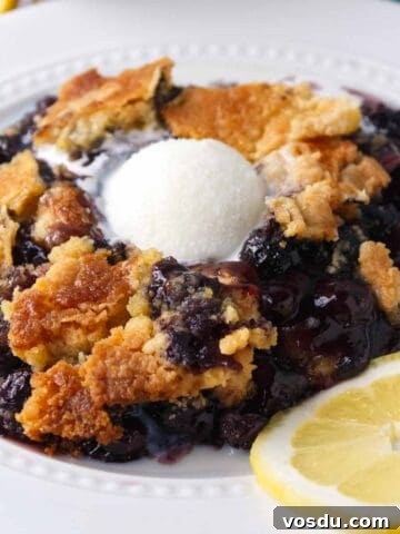 5-Ingredient Blueberry Dump Cake