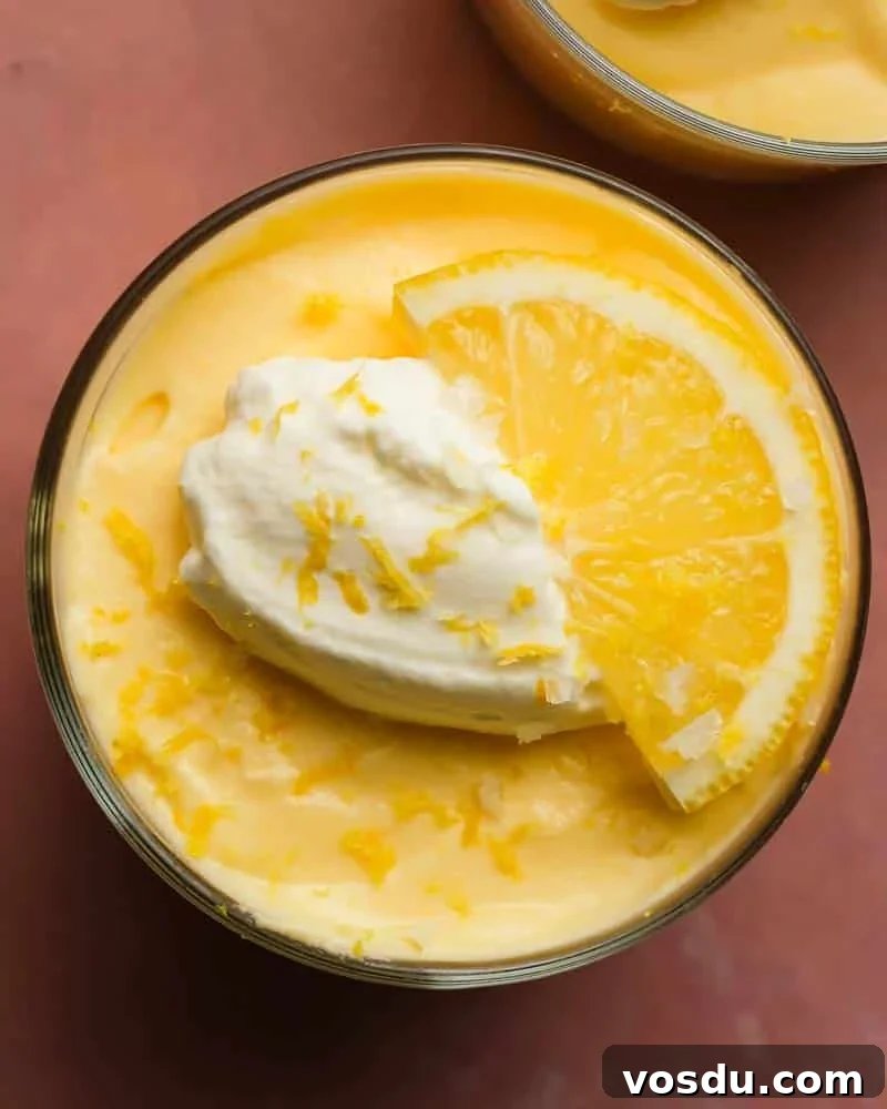 Lemon Mousse Recipe: Light, Silky Dessert in Minutes 2 Lemon Mousse