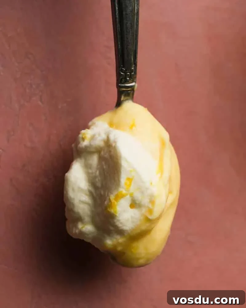 Lemon Mousse Recipe: Light, Silky Dessert in Minutes 3 Lemon Mousse