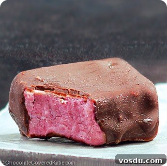 Chocolate Strawberry Fudge Bars