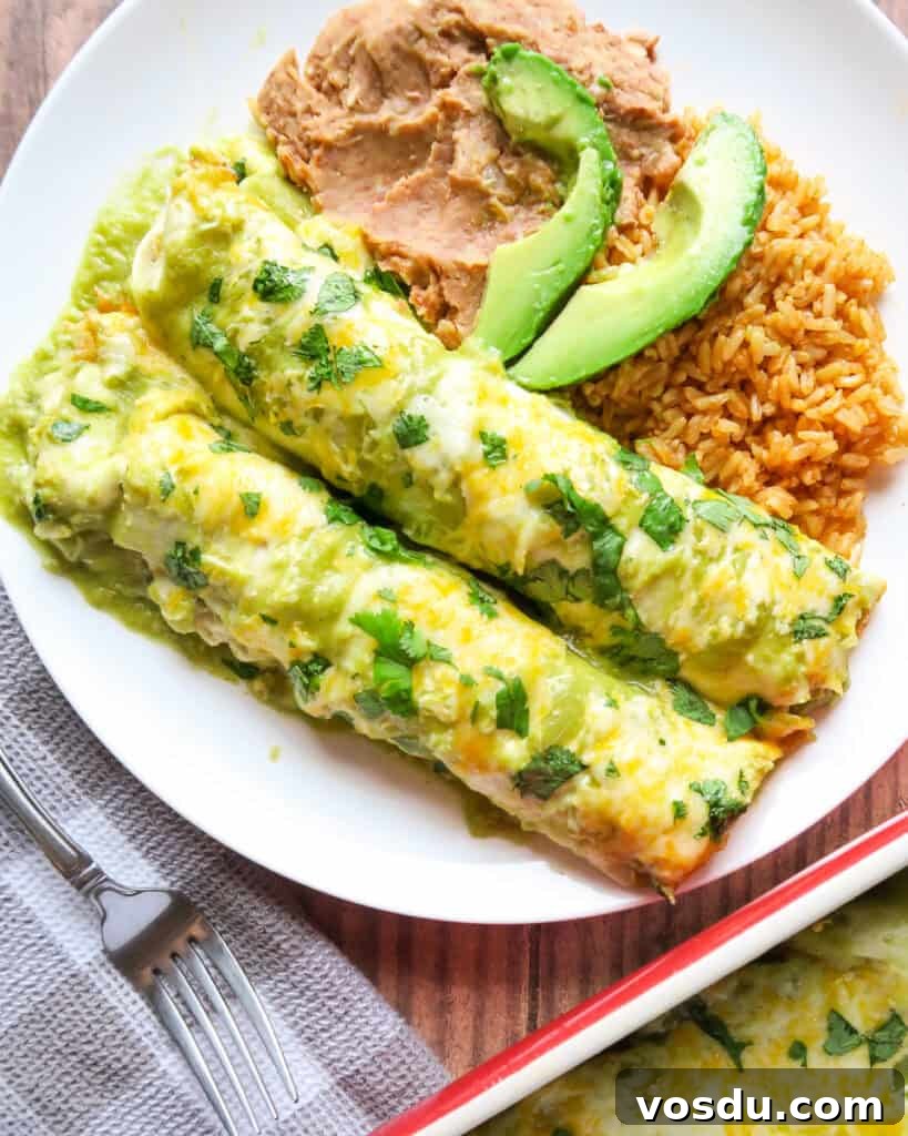 Chicken Enchiladas Verdes (Authentic Green Sauce Enchiladas) 2 Green Enchiladas with Chicken (Enchiladas Verdes)