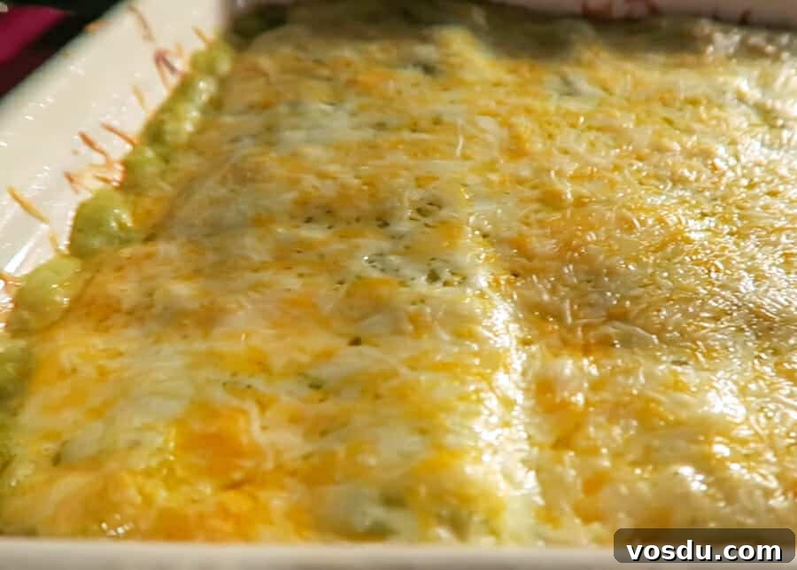 Chicken Enchiladas Verdes (Authentic Green Sauce Enchiladas) 9 img 1857 15