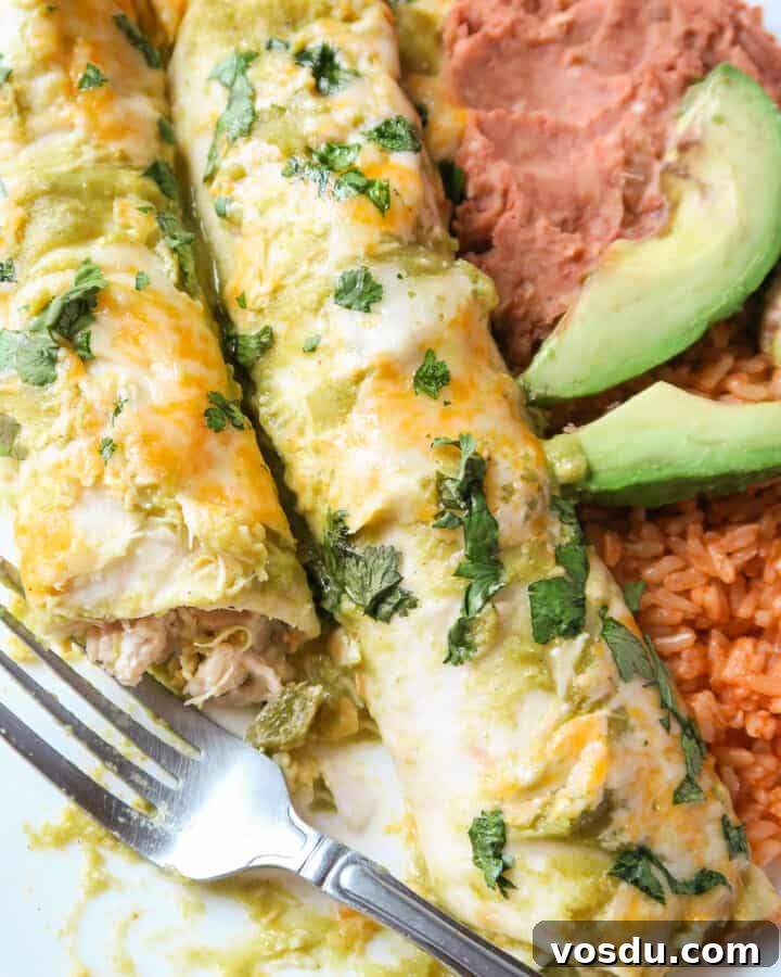 Chicken Enchiladas Verdes (Authentic Green Sauce Enchiladas) 10 Green Enchiladas served with beans and rice