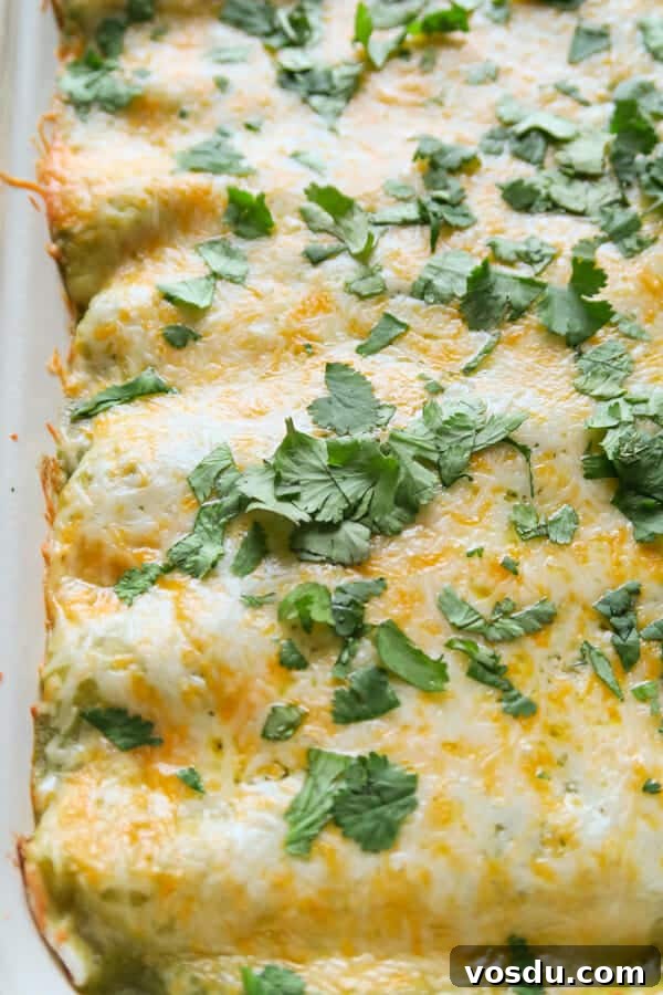 Chicken Enchiladas Verdes (Authentic Green Sauce Enchiladas) 11 closeup of the Green Enchiladas in the baking dish