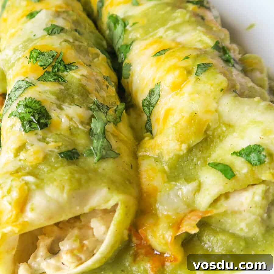 Chicken Enchiladas Verdes (Authentic Green Sauce Enchiladas) 12 Green Enchiladas filling