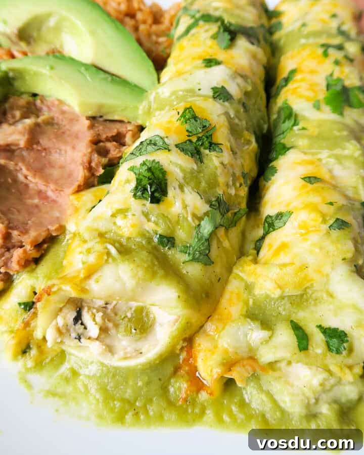 Chicken Enchiladas Verdes (Authentic Green Sauce Enchiladas) 3 Green Enchiladas with Chicken (Enchiladas Verdes) closeup