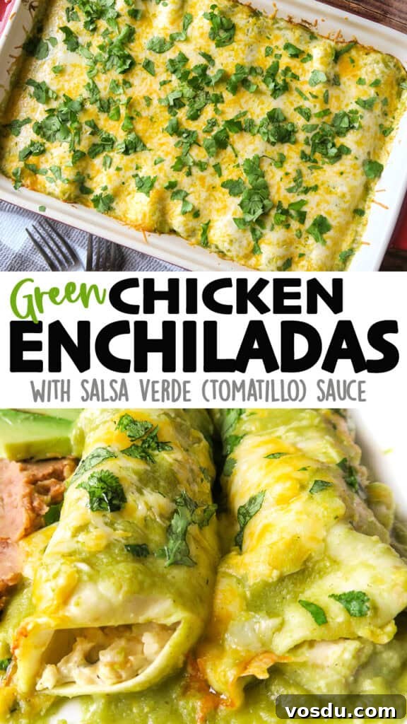 Chicken Enchiladas Verdes (Authentic Green Sauce Enchiladas) 16 img 1857 23